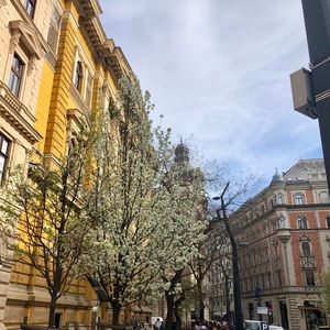 Meet your Posher, Carys